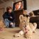 Regulations For The Maintenance Of Dogs In An Enterprise