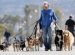 Regulations For Dogs In A Multi-Family Home